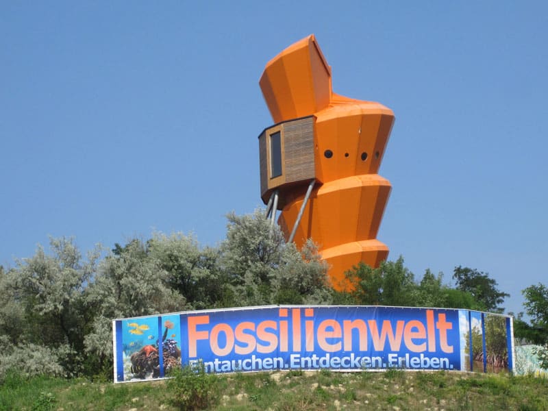 Fossilienwelt Weinviertel – Start in die Saison 2022!