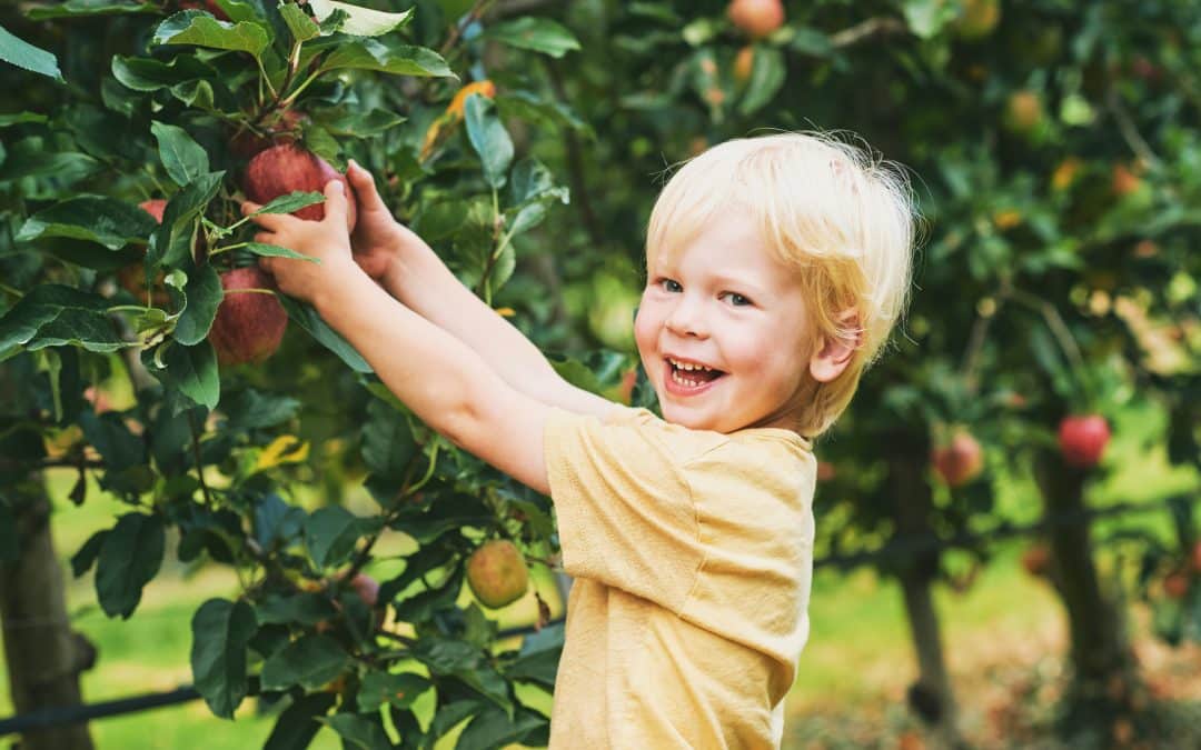 Naschen auf der Naschmeile ist jetzt kinderleicht ….