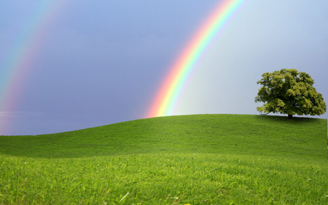 Regenbogenfahne in der Marktgemeinde Bisamberg