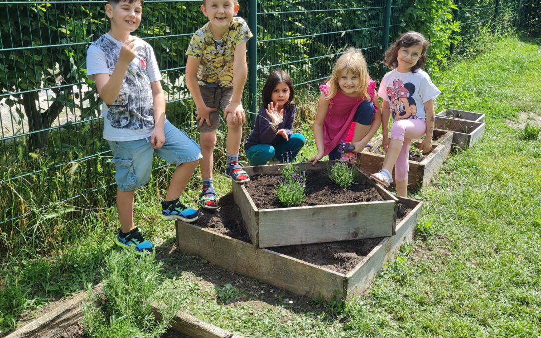 GARTENARBEIT in der VS Bisamberg – UNTERRICHT  EINMAL ANDERS