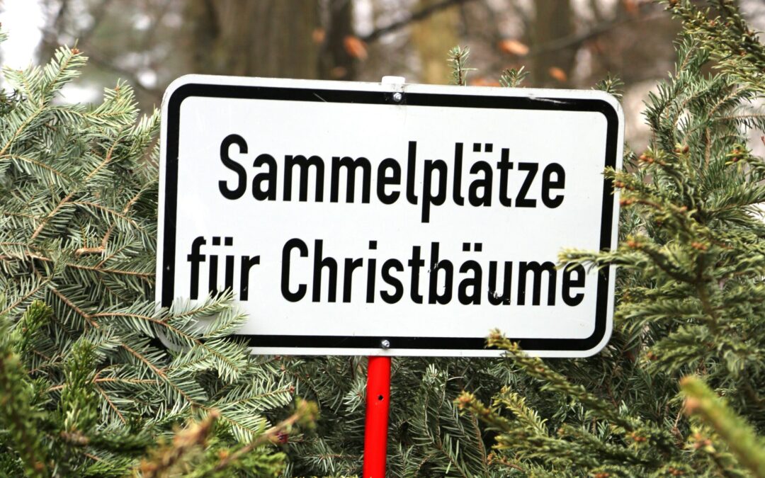 Christbaumabgabestellen bis 02.02.2026