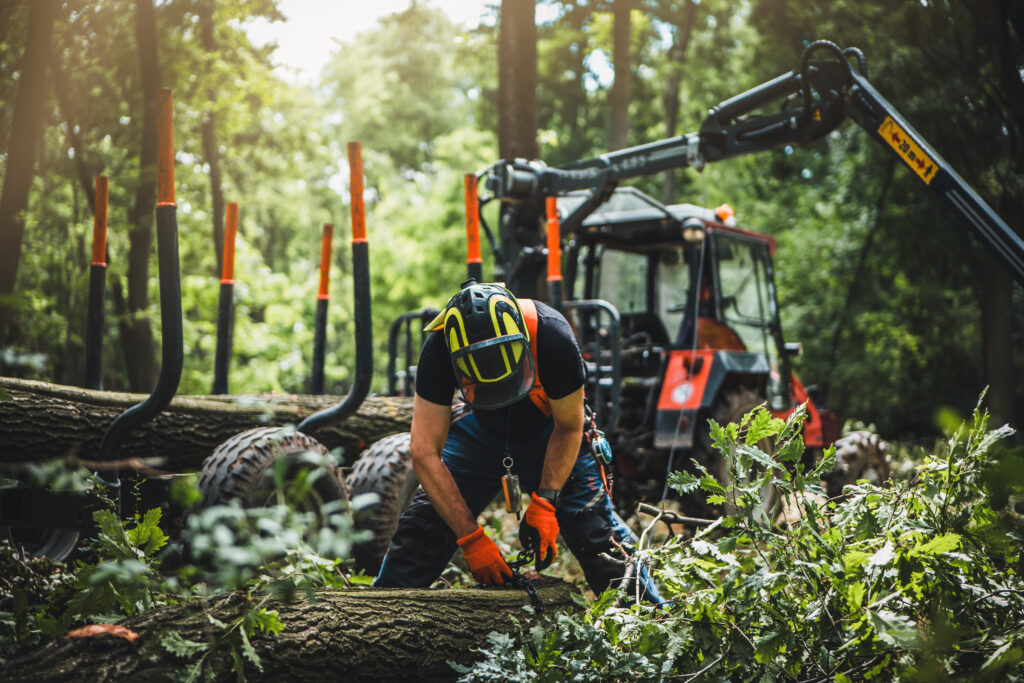Forstarbeiten im Wald