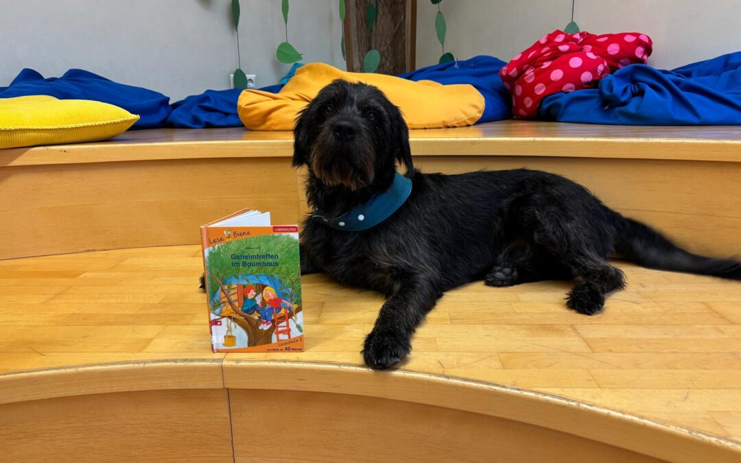 AKTUELLES AUS DER VS BISAMBERG