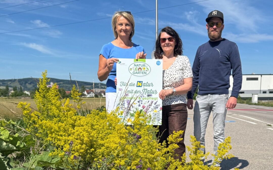 Bisambergs Biodiversitätsstreifen stehen in voller Blüte