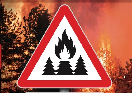 Zunehmende Waldbrandgefahr aufgrund der Trockenheit