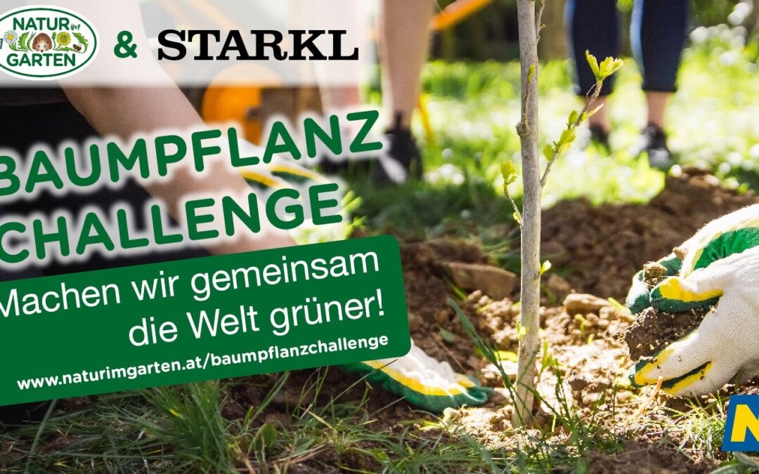 Baumpflanzchallenge 2026 – Lieblingsprojekt unterstützen und voten